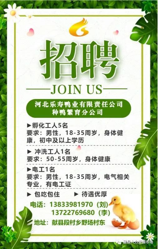 英么德最新招聘啟事，小蟲(chóng)網(wǎng)人才招募之旅
